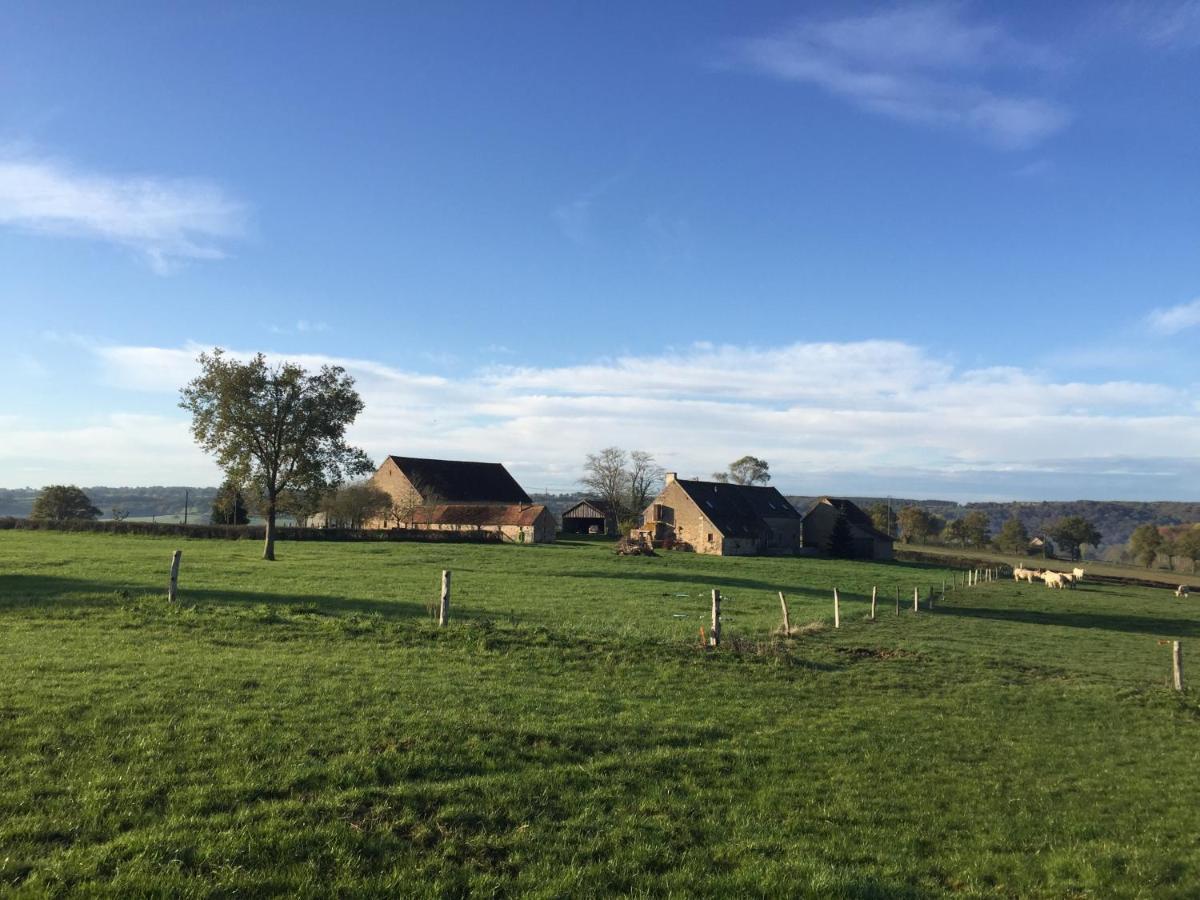 Chambres D'Hotes Domaine Les Grands Perons Hérisson 外观 照片