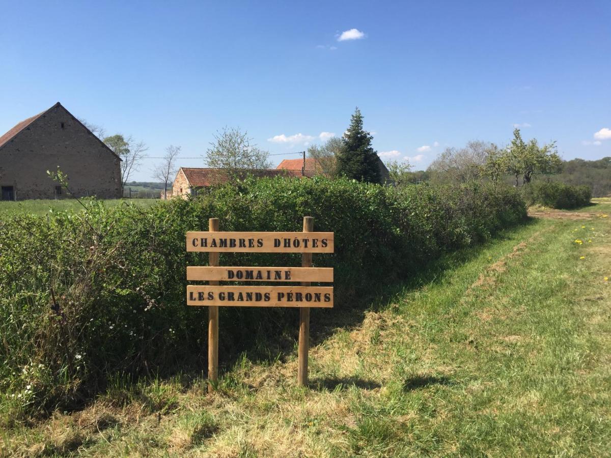 Chambres D'Hotes Domaine Les Grands Perons Hérisson 外观 照片