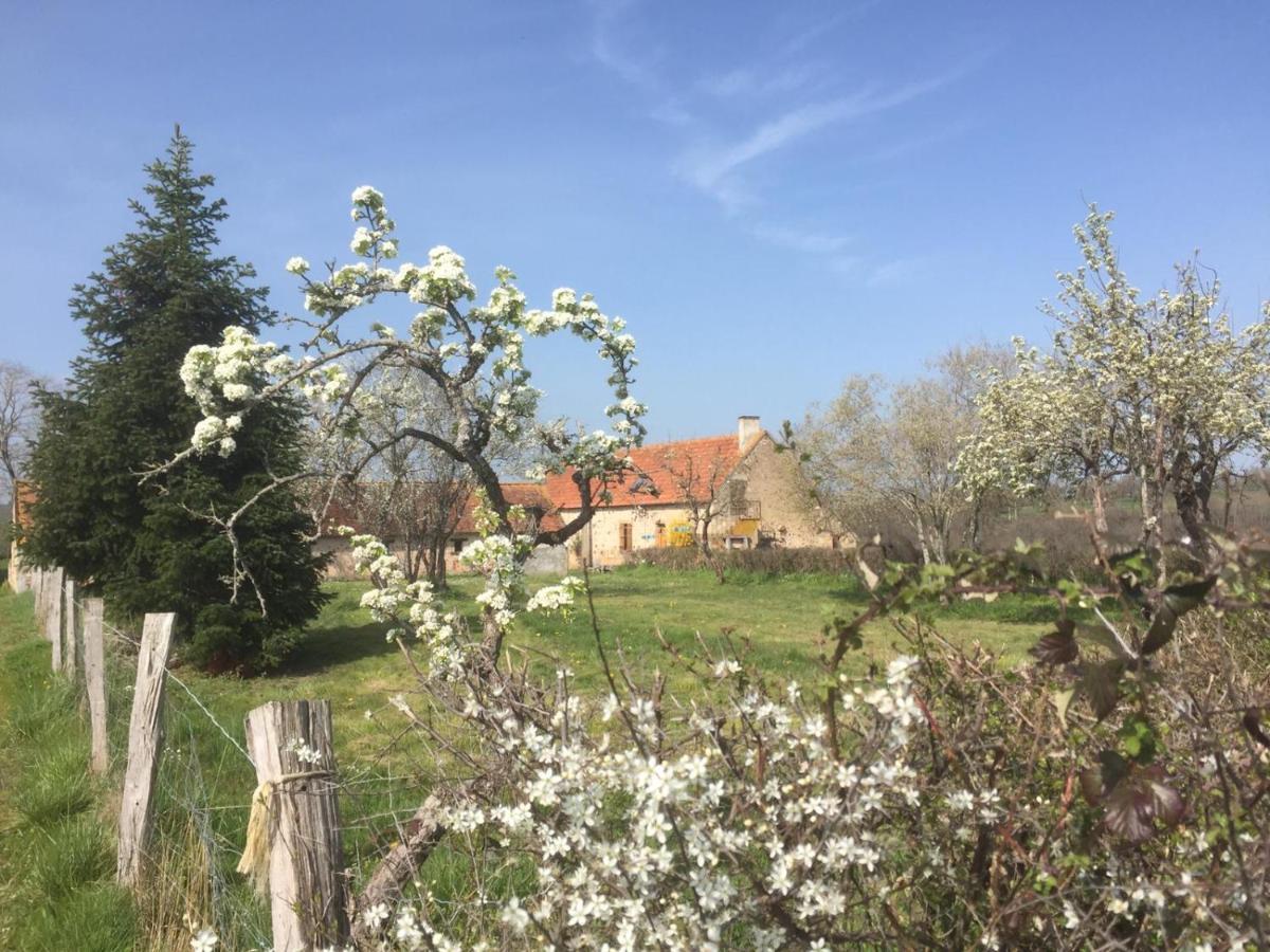 Chambres D'Hotes Domaine Les Grands Perons Hérisson 外观 照片