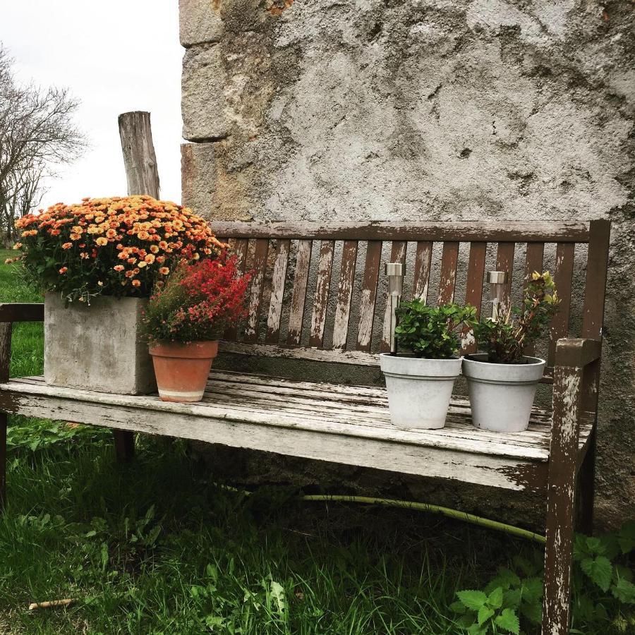 Chambres D'Hotes Domaine Les Grands Perons Hérisson 外观 照片